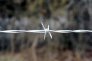 barbed_wire_4-point_photo_01